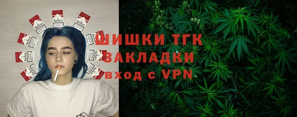 твердый Няндома