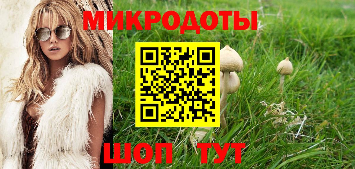 Ярцево  Псилоцибиновые грибы мухоморы  Вход с VPN 
