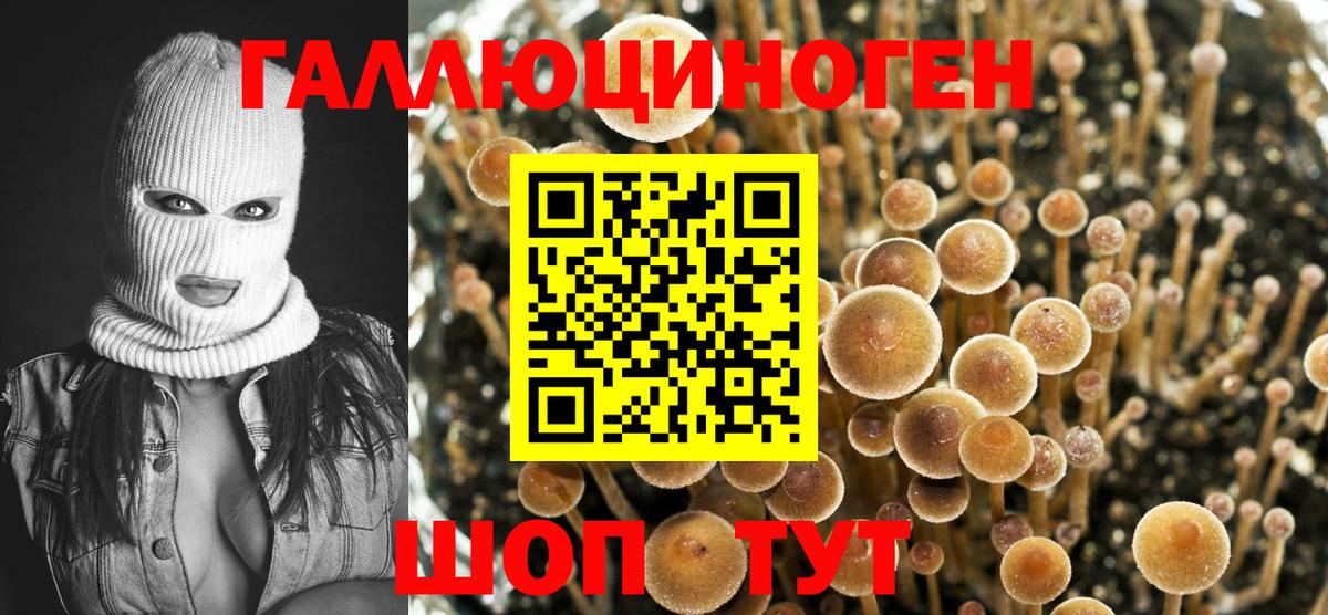 Псилоцибиновые грибы мухоморы Ярцево